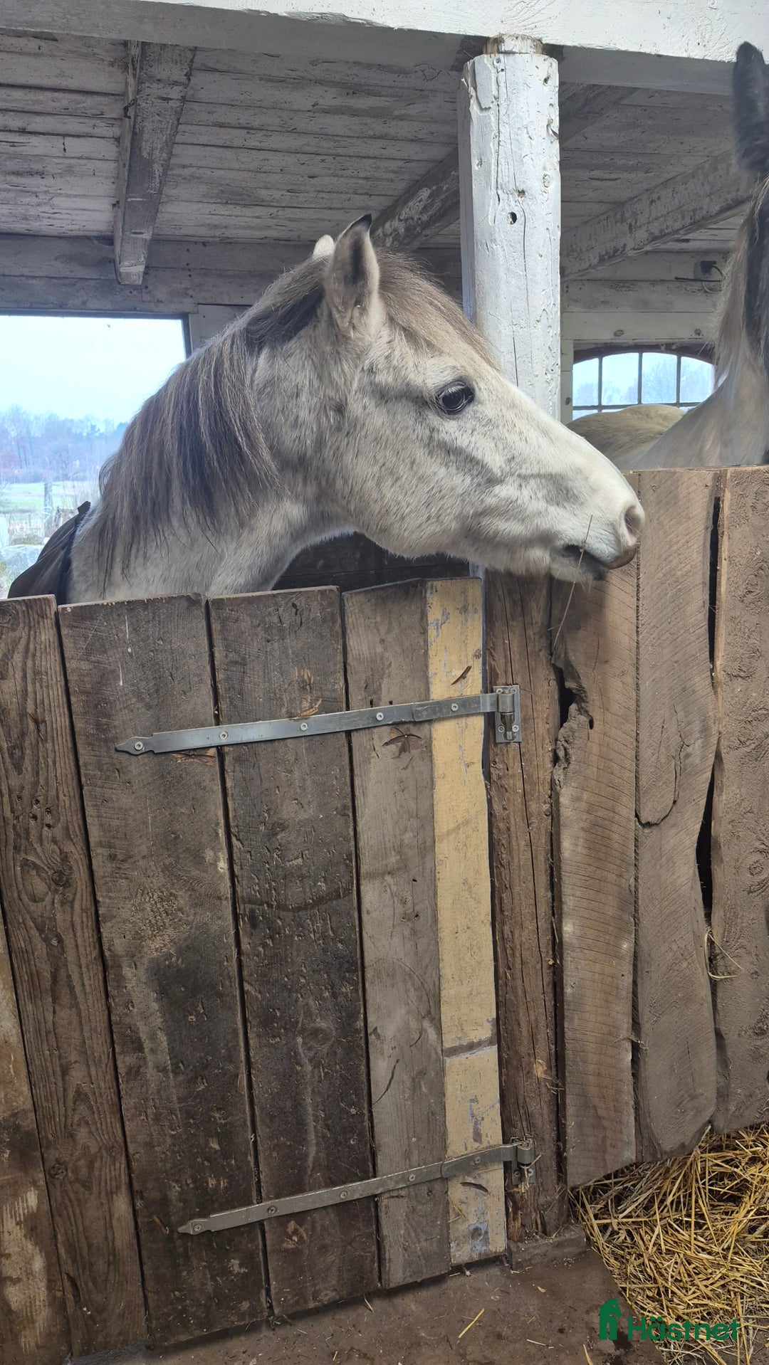  stallplats finnes: Lösdrift  i Tyringe - Annons 1