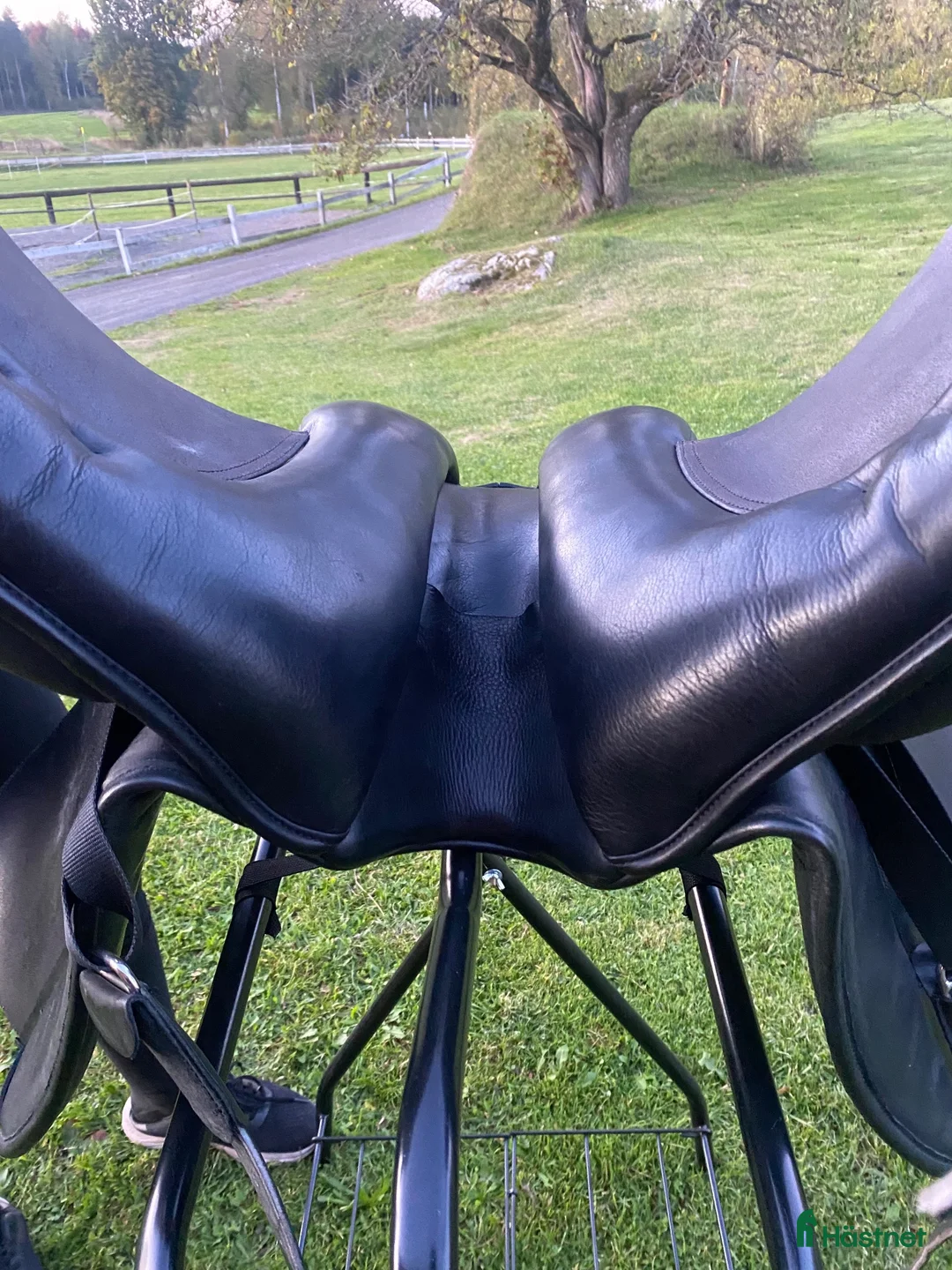 Sadlar hästutrustning till salu: Lippo Dressyr sadel Maranello 17” - Annons 6