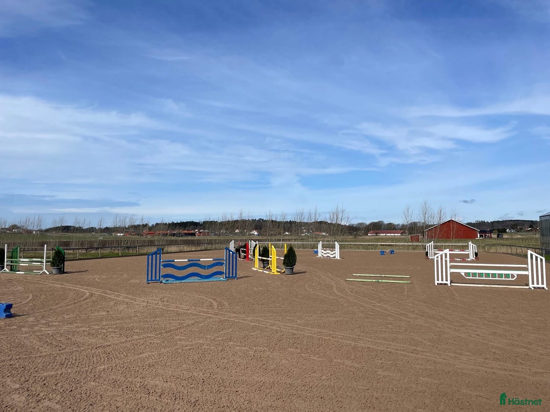  stallplats finnes: Stallplatser finnes i Fjärås! 🐎 i Fjärås - Annons 6