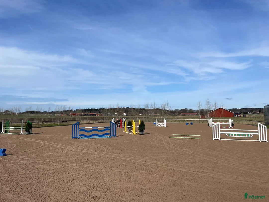  stallplats finnes: Stallplatser finnes i Fjärås! 🐎 i Fjärås - Annons 6