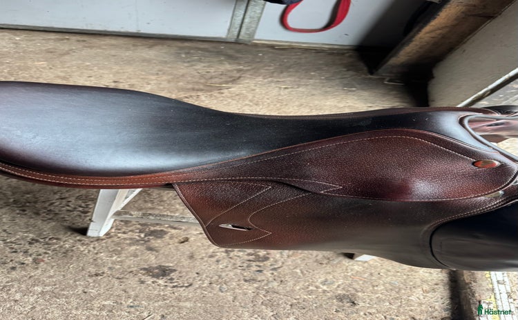 Sadlar hästutrustning till salu i Stockholm - Annons 15