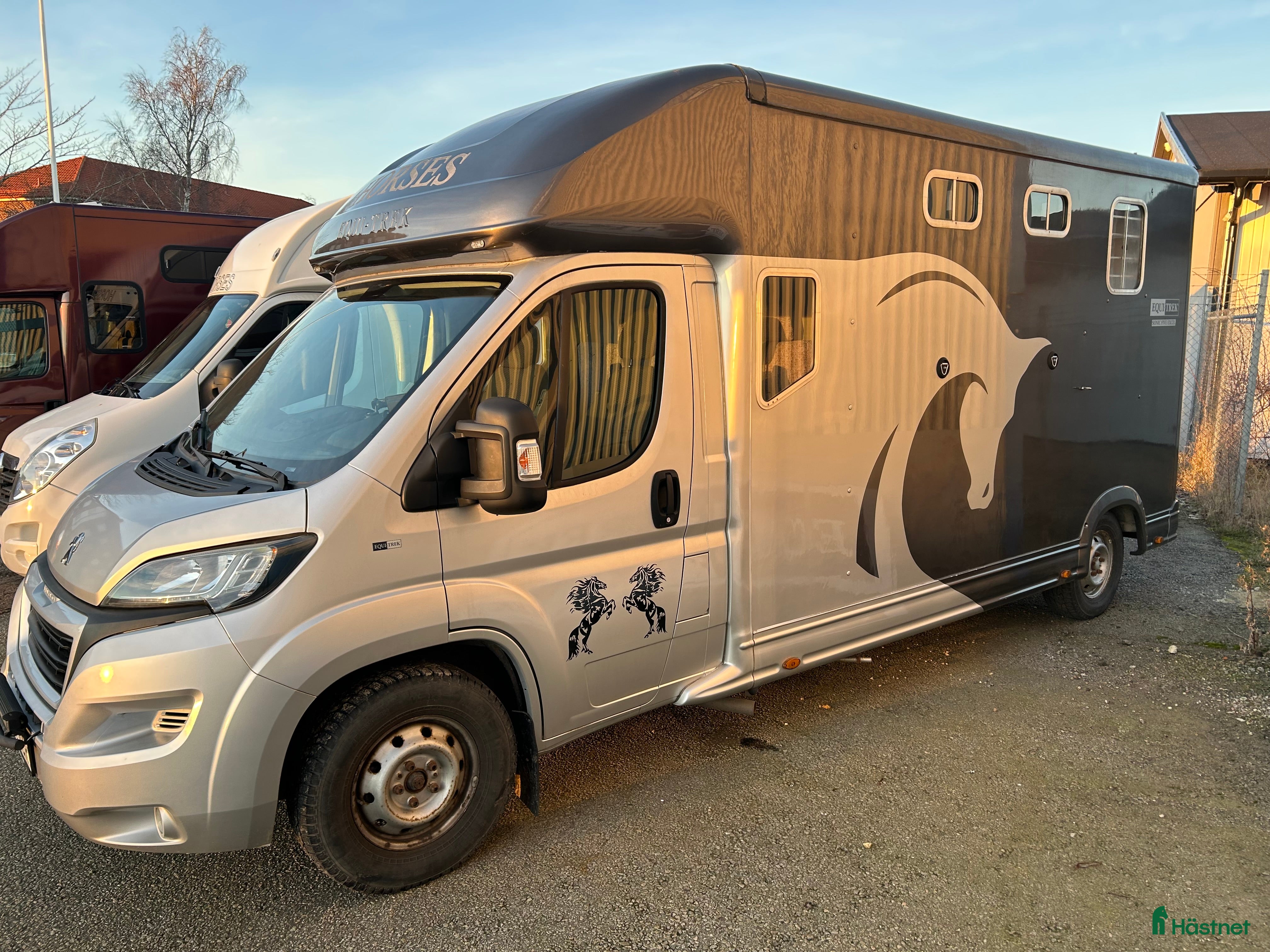 Hästlastbilar  fordon & transport till salu: Equi-Trek Sonic 5 sits i toppskick - Annons 4