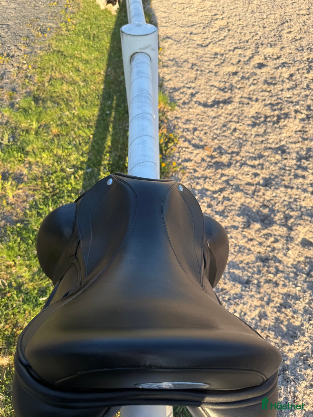 Sadlar hästutrustning till salu: frank baines adagio symphony i Stange - Annons 5