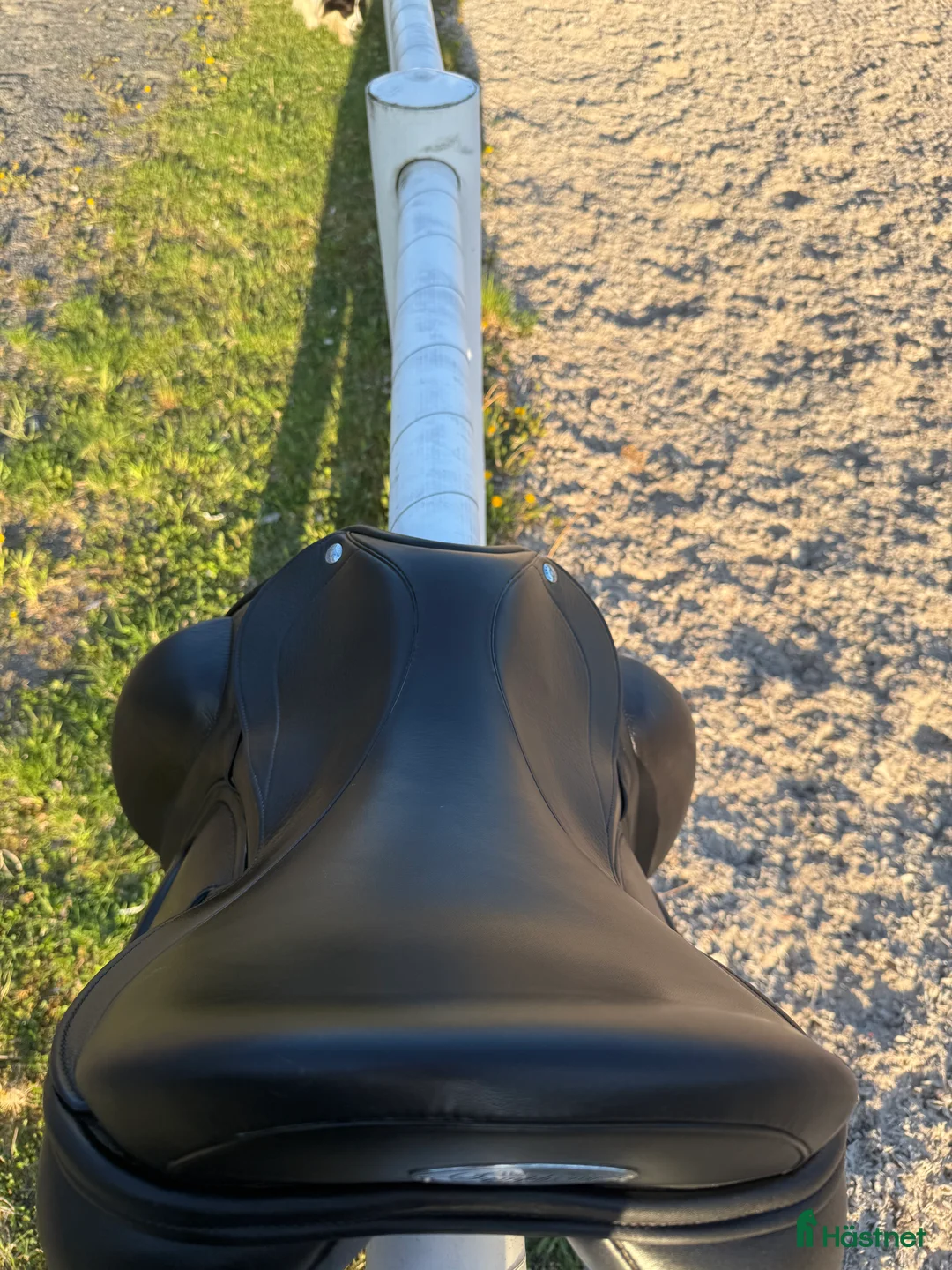 Sadlar hästutrustning till salu: frank baines adagio symphony i Stange - Annons 5