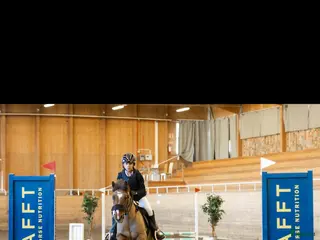 hästar Trygg läromästare! - Annons 8