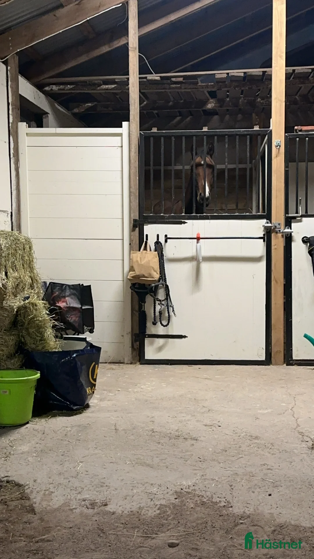  stallplats finnes: Hästhotell i Älvkarleby - Annons 2