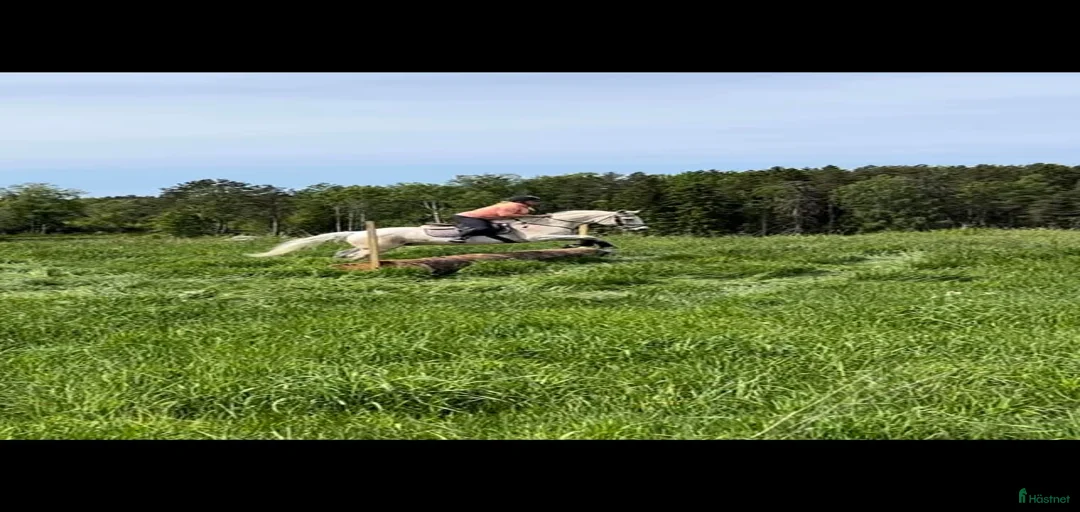 Galleribild {{count}}