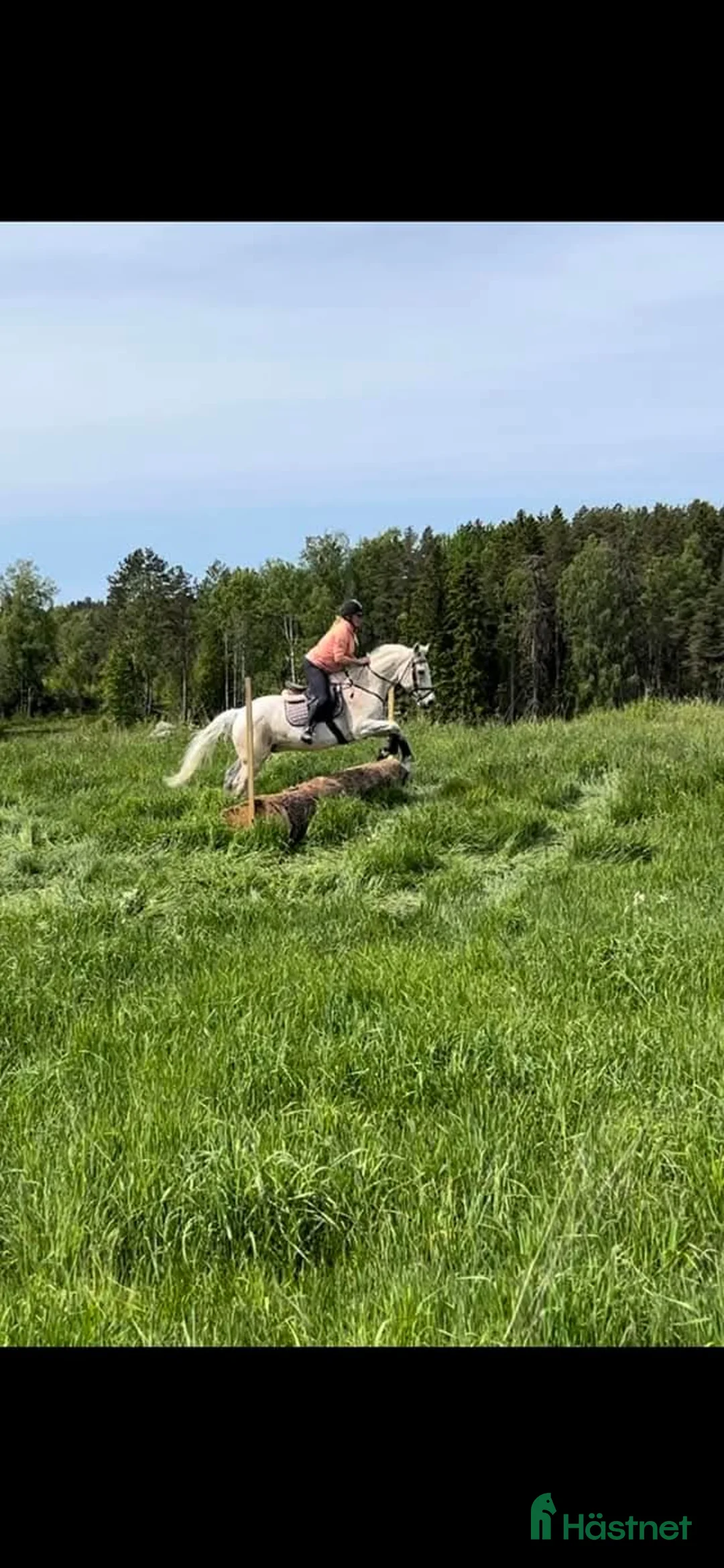 Galleribild {{count}}