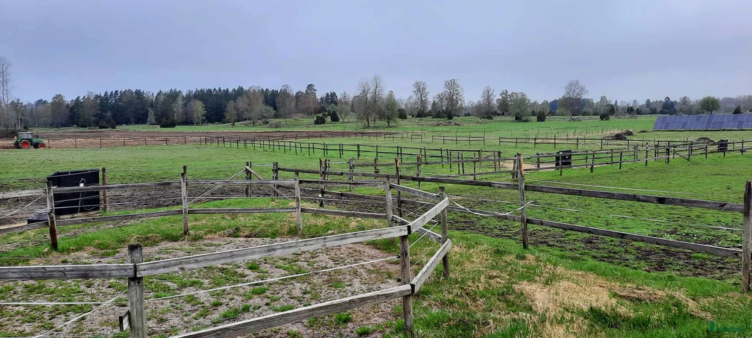  stallplats finnes: Stallplats finnes - Alunda - Annons 6