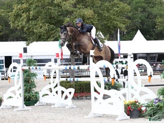 hästjobb Rid och stallhjälp i Vallda - Annons 1