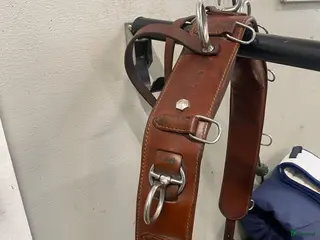 Övrig Körutrustning körning till salu: Tärnsjö tömkörningsgjord och tömmar - Annons 2