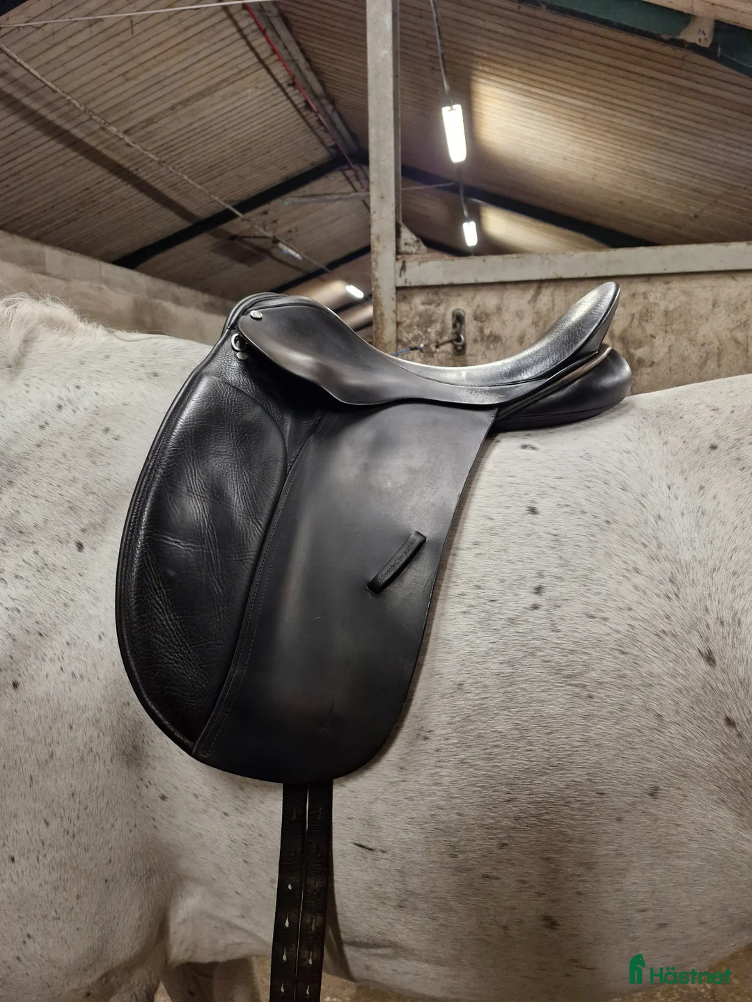 Sadlar hästutrustning till salu: County Dressyr sadel - Annons 1