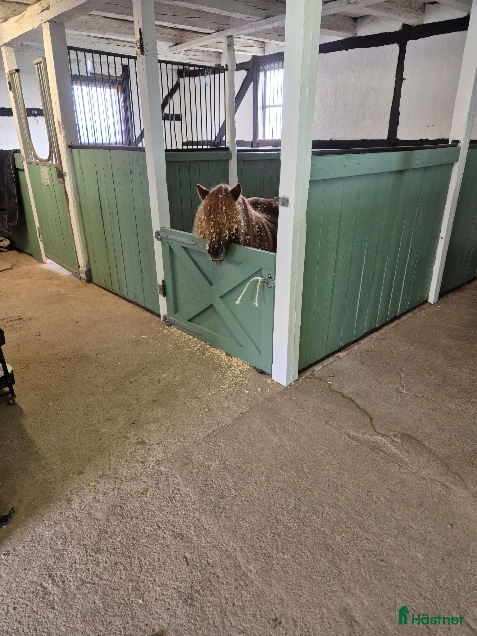  stallplats Lösdriftsplats  - Annons 4