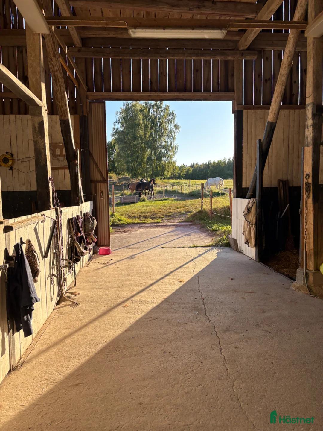  stallplats finnes: Stallplats finnes från 1 juni - Annons 2