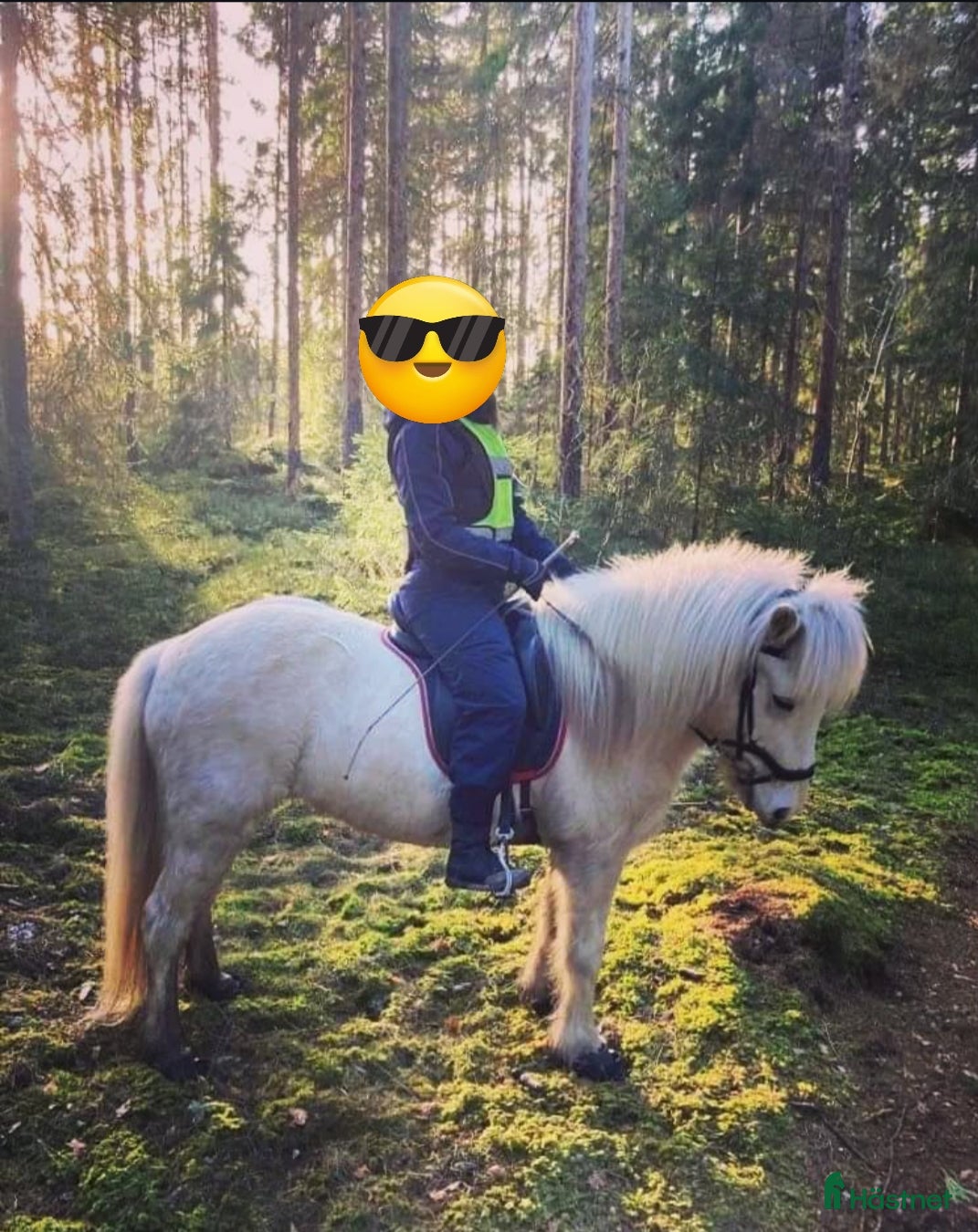  hästar Mitt fina sto ❤️ i Bergsjö - Annons 3