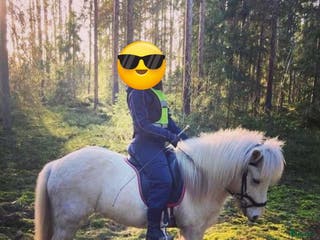 hästar Mitt fina sto ❤️ i Bergsjö - Annons 3