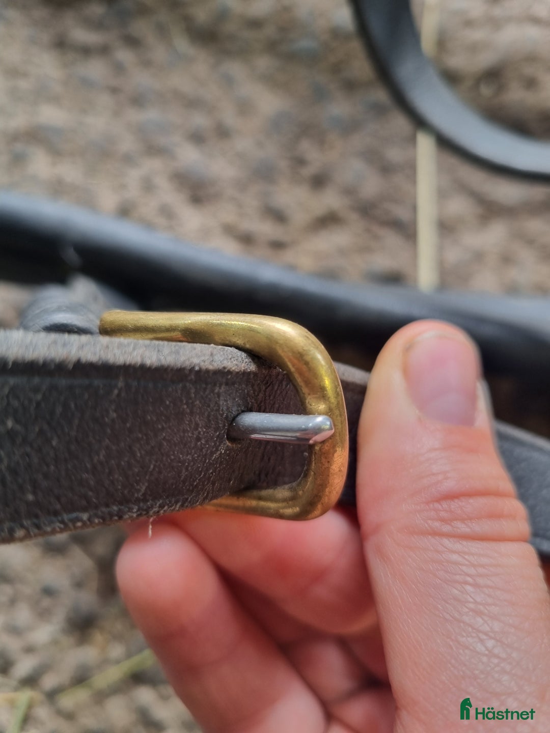 Körselar körning till salu: Bröstsele strl full i Gränna - Annons 2