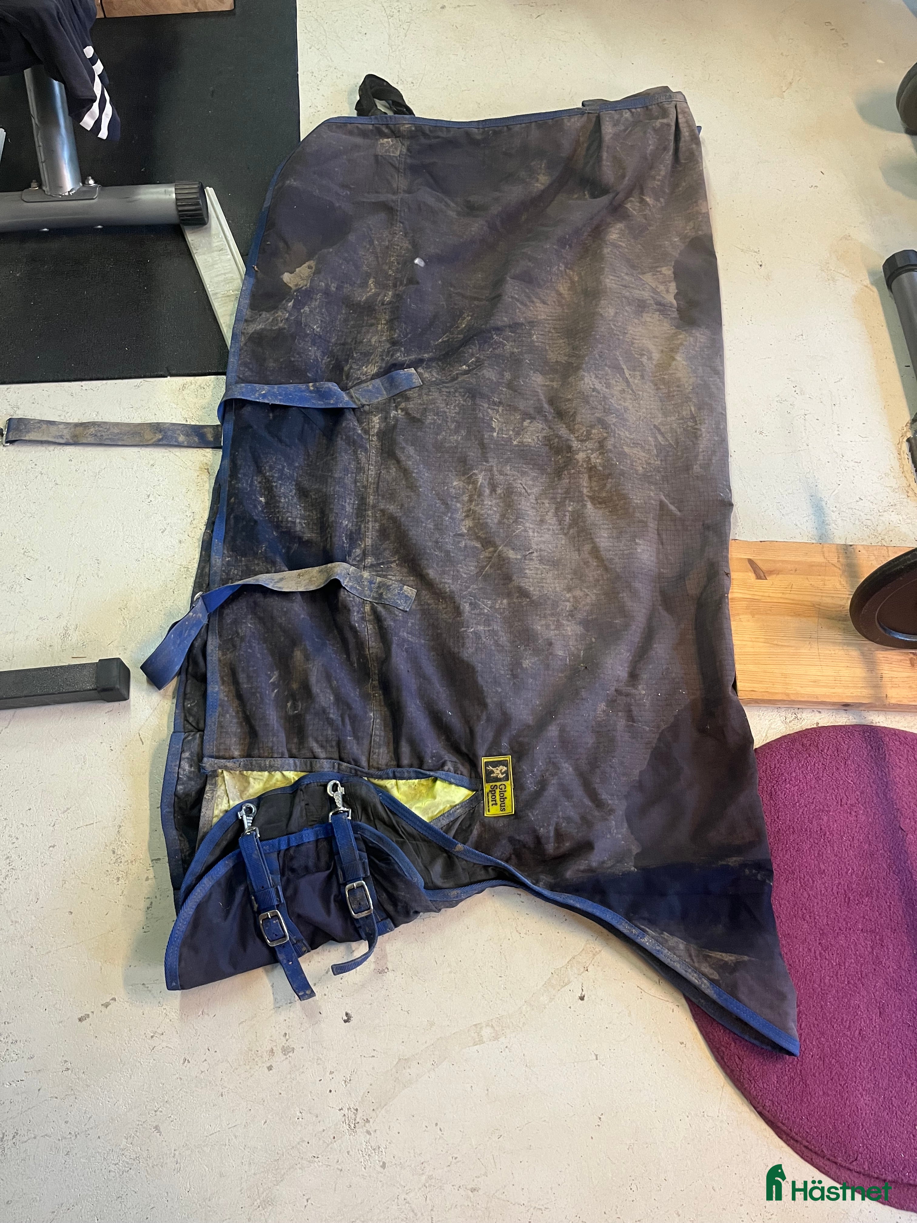 Täcken hästutrustning till salu: Utetäcke med halvhals  i Uppsala - Annons 15