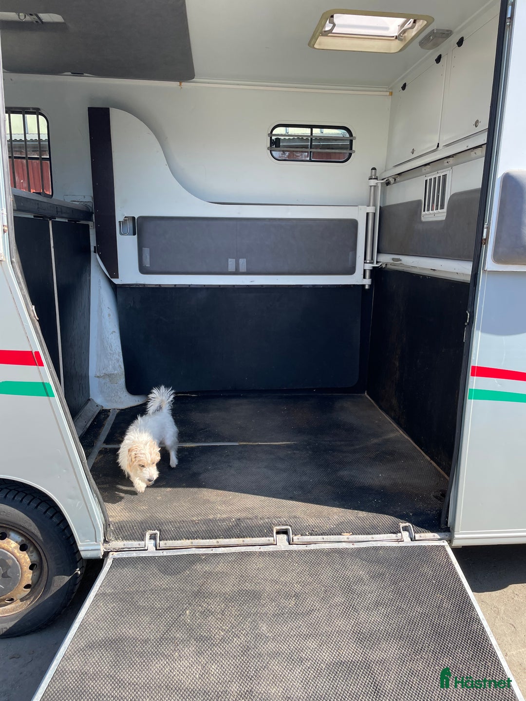 Hästlastbilar  fordon & transport till salu: Renault Master Theahult - Hästlastbil B-korts  i Herrljunga - Annons 12