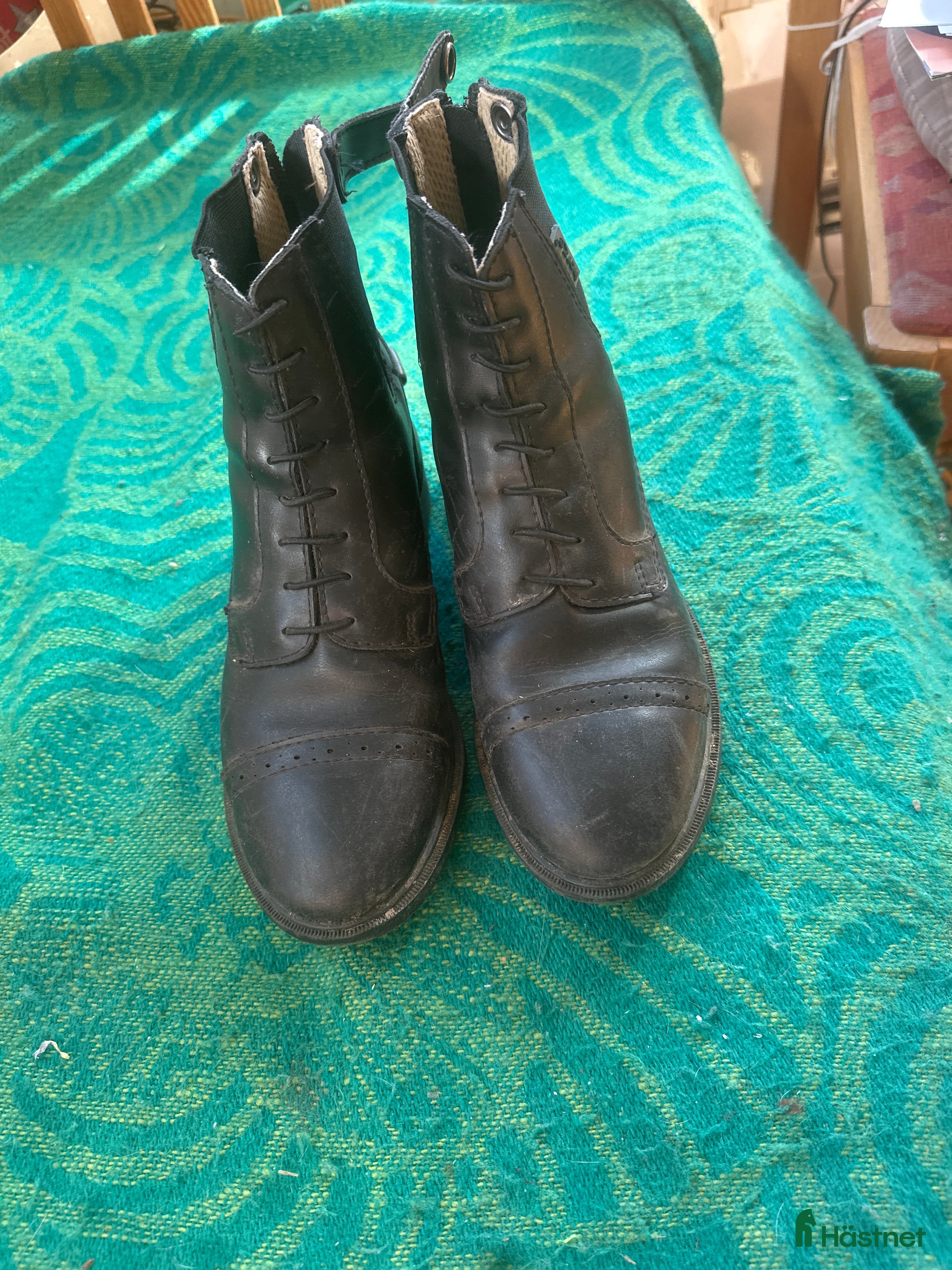 Ridstövlar ryttarutrustning till salu: Fina rid skor  i Sjuntorp - Annons 14
