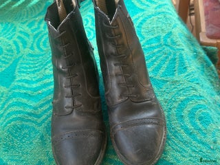 Ridstövlar ryttarutrustning till salu: Fina rid skor i Sjuntorp - Annons 9
