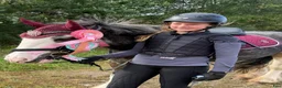 Allround hästar till salu: Underbara B-ponnyn Maisey - Annons 7