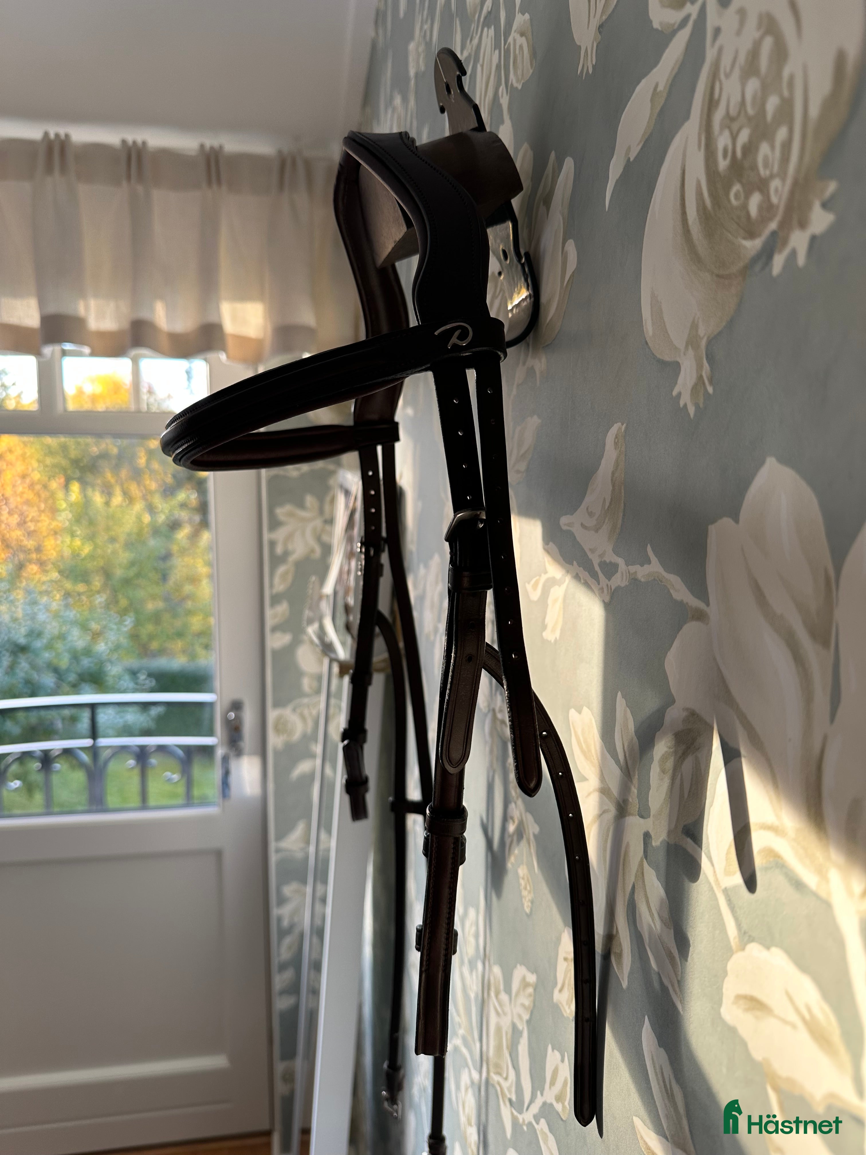 Träns hästutrustning till salu: Dyon Hackamore-träns  i Täby - Annons 24