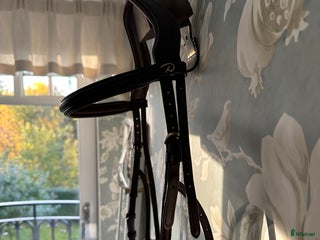 Träns hästutrustning till salu: Dyon Hackamore-träns i Täby - Annons 14