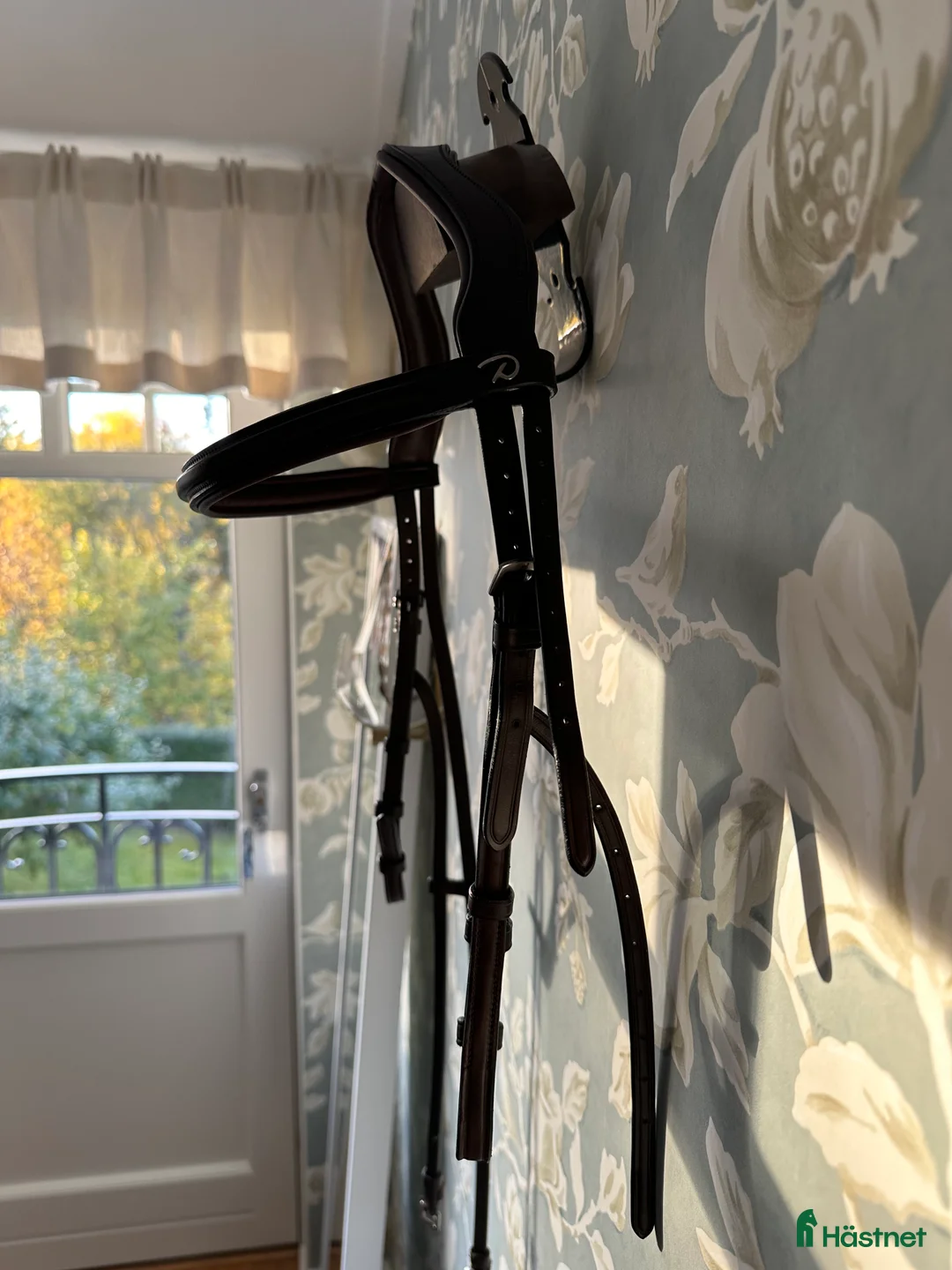 Träns hästutrustning till salu: Dyon Hackamore-träns  i Täby - Annons 1