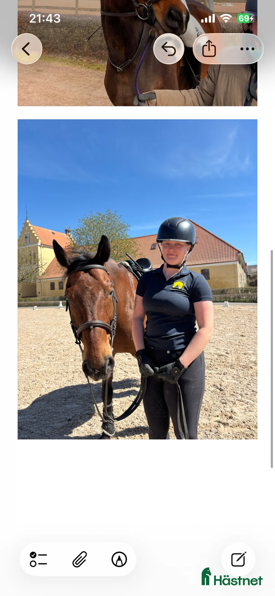  medryttarhäst sökes: Hippologstudent söker samarbete  - Annons 2