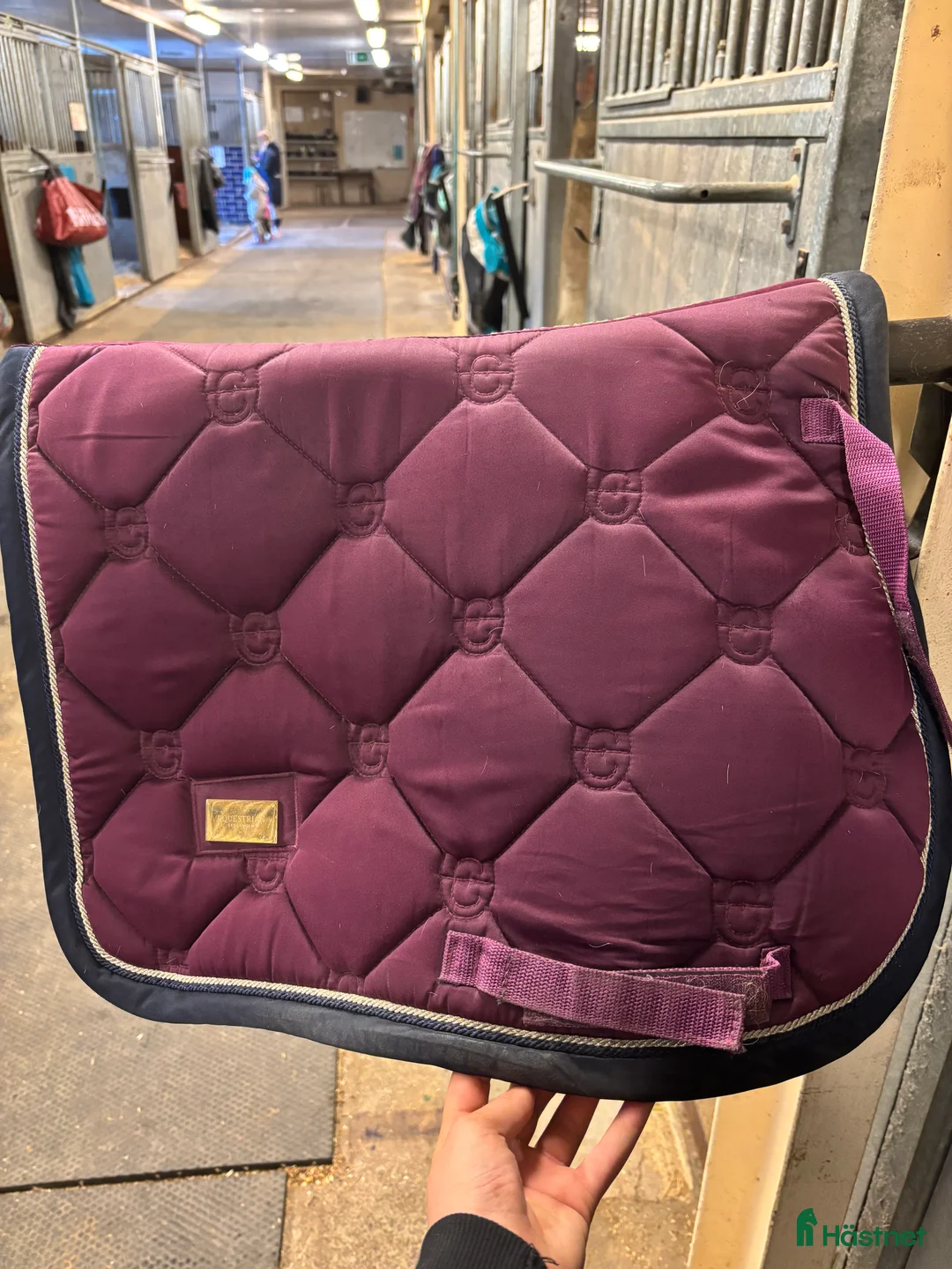 Schabrak & Vojlockar hästutrustning till salu: Lila es  - Annons 1