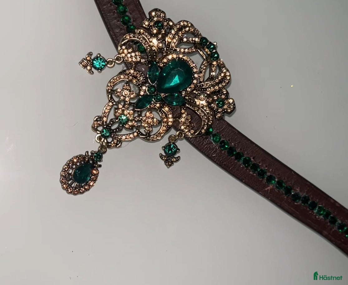 Övrig Hästutrustning hästutrustning till salu: Snygga Diego pannband  i Helsingborg - Annons 22