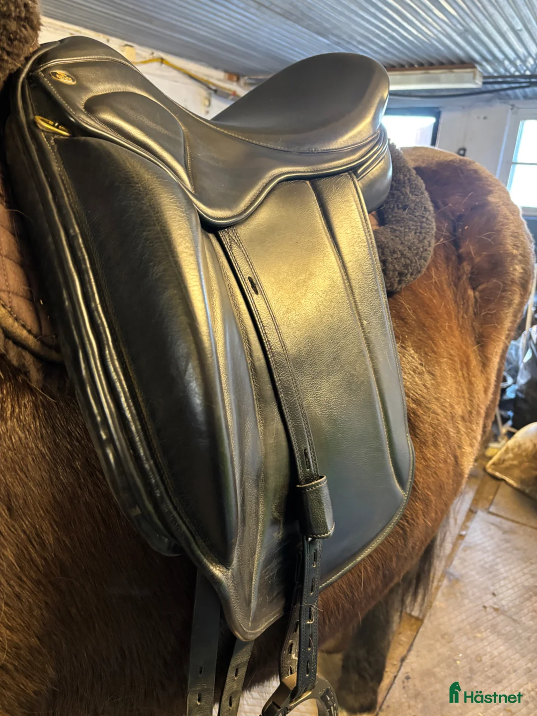 Sadlar hästutrustning till salu: Astund Epona  - Annons 2