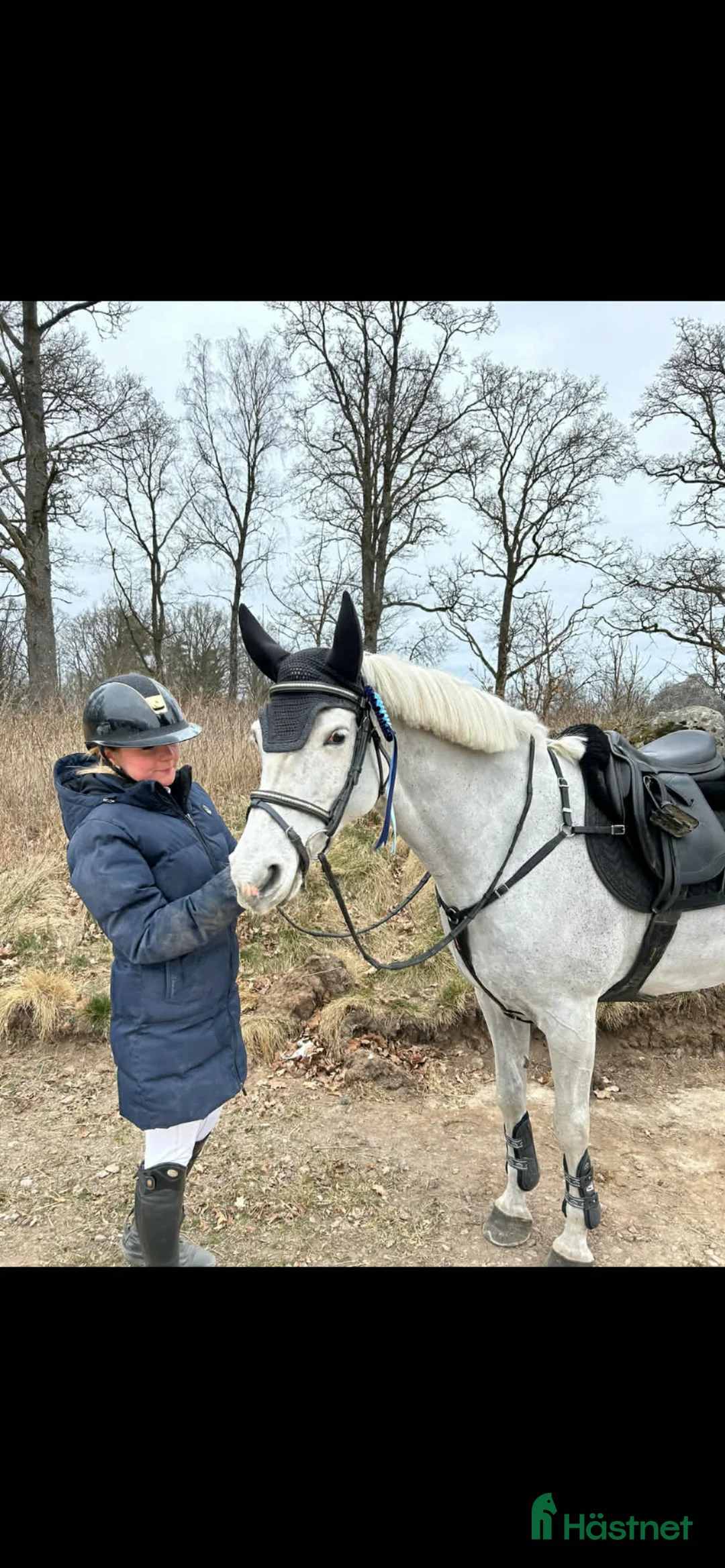 Hoppning hästar till salu: Vackert C-ponny sto - Annons 3