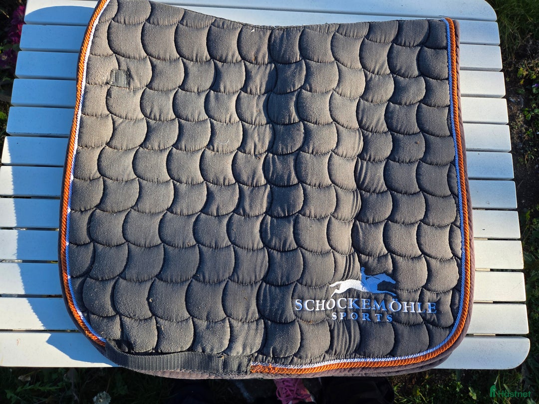 Schabrak & Vojlockar hästutrustning till salu: Schabrak med lindor  i Vikbolandet - Annons 3