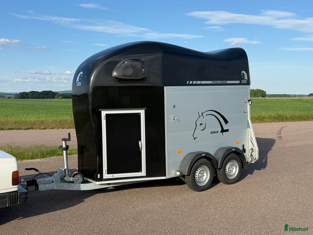 Hästtransporter  fordon & transport till salu: Cheval Gold2 -22 - Annons 2
