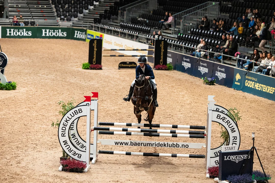 Hoppning hästar till salu: Spranghest med kapasitet  i Sandnes - Annons 1
