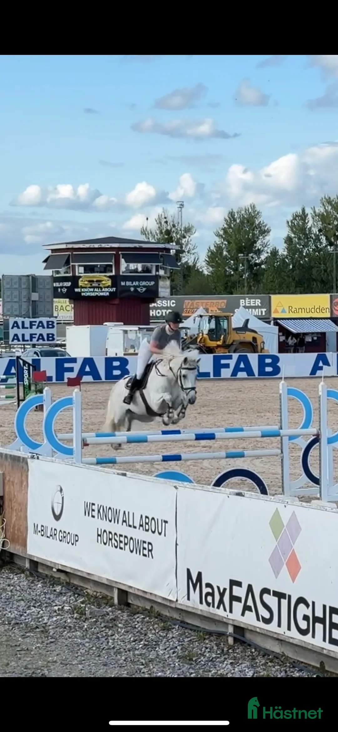Hoppning hästar till salu: Ponny för de högsta klasserna i Täby - Annons 3