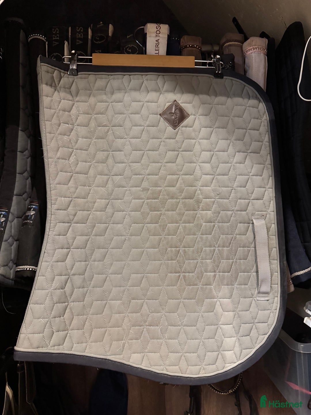 Schabrak & Vojlockar hästutrustning till salu: Säljer och byter i Burträsk - Annons 3