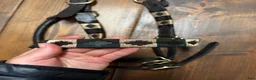 Övrig Hästutrustning hästutrustning till salu: Lädergrimma Polo stl. FULL - Annons 1