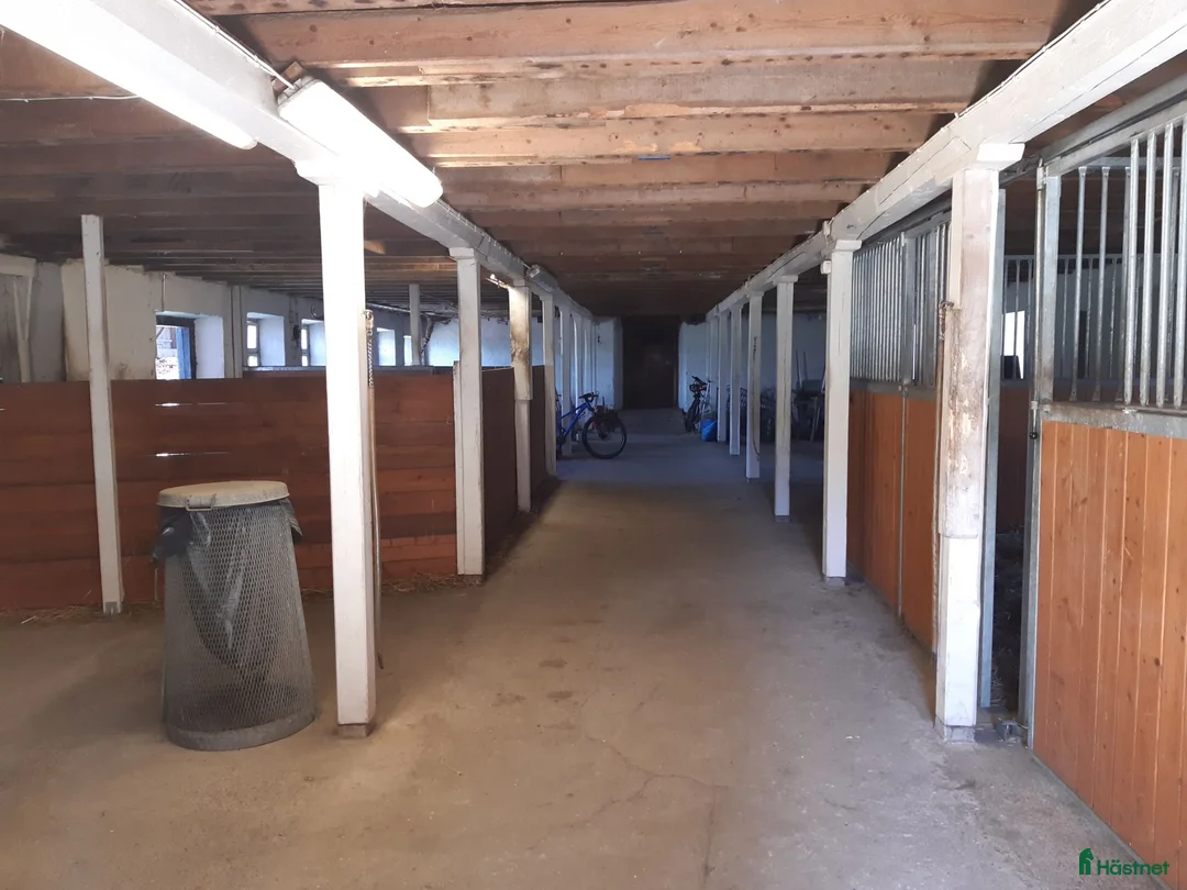  stallplats finnes: Plats i lösdrift  - Annons 1