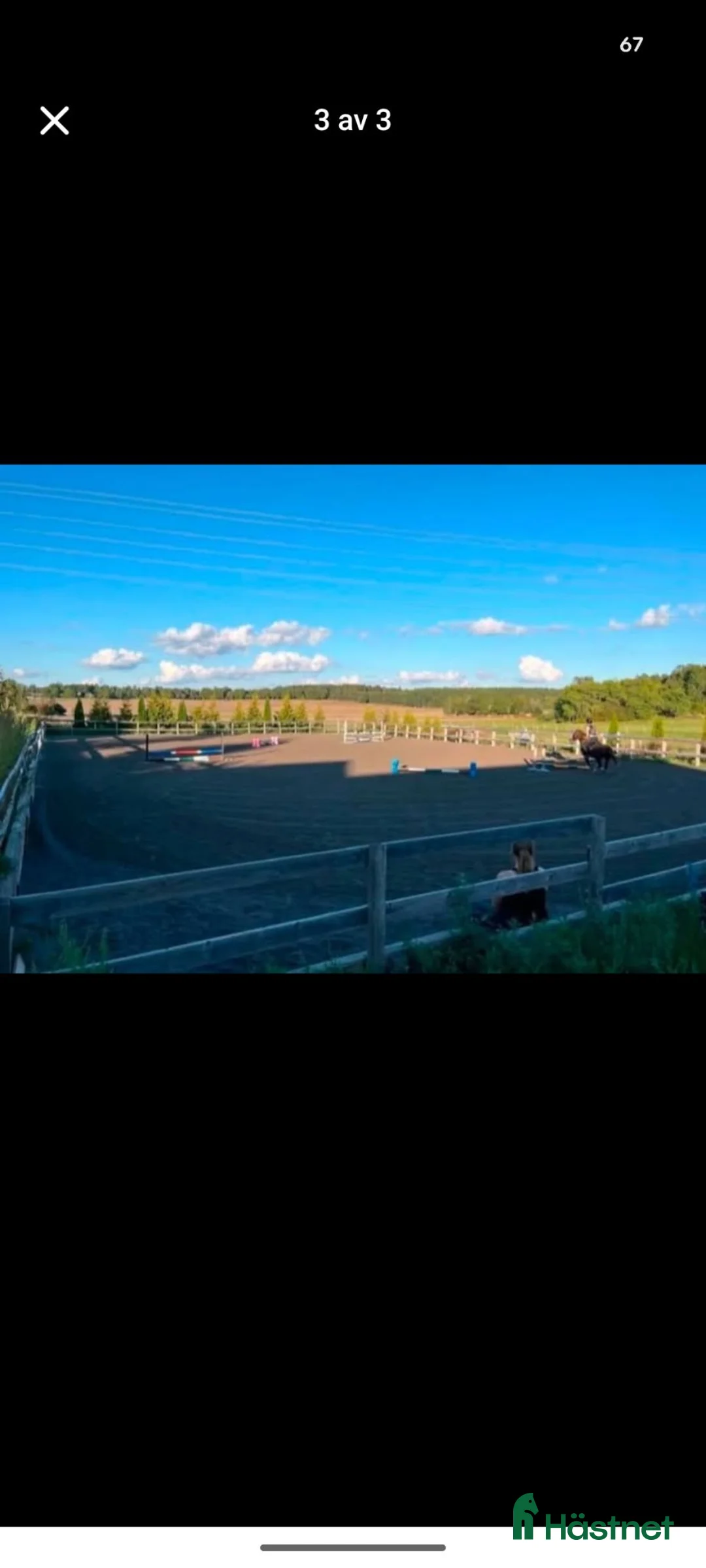  stallplats finnes: Plats på lösdrift för ston (fri tillgång) - Annons 2
