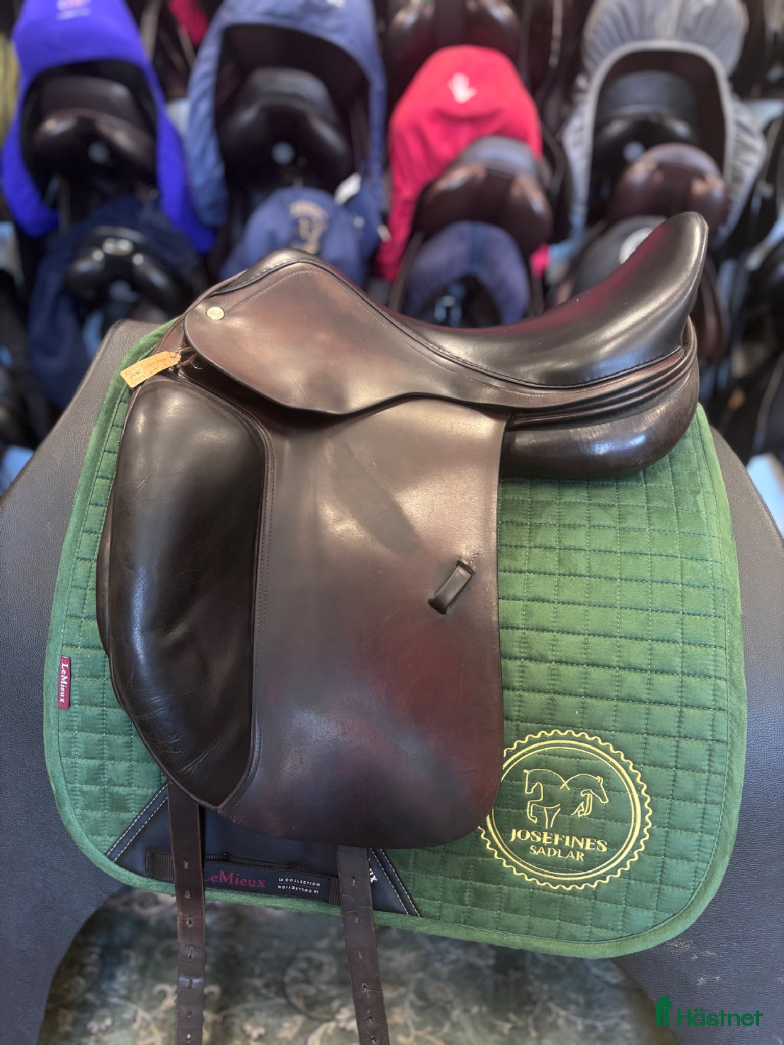 Sadlar hästutrustning Amerigo Alto 🌸 - Annons 5