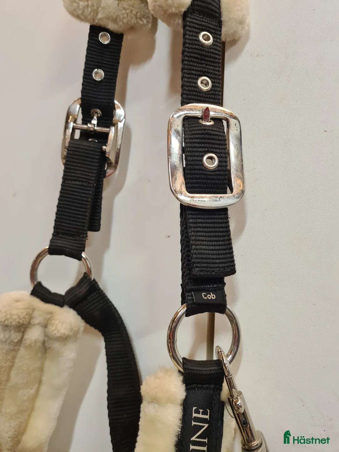 Övrig Hästutrustning hästutrustning till salu: Equiline grimma cob - Annons 3