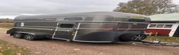 Hästtransporter  fordon & transport till salu: Pedantskött Forzab Classic 26 SEH  - Annons 3