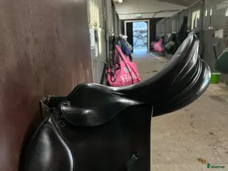 Sadlar hästutrustning Erresplus hoppsadel - Annons 14