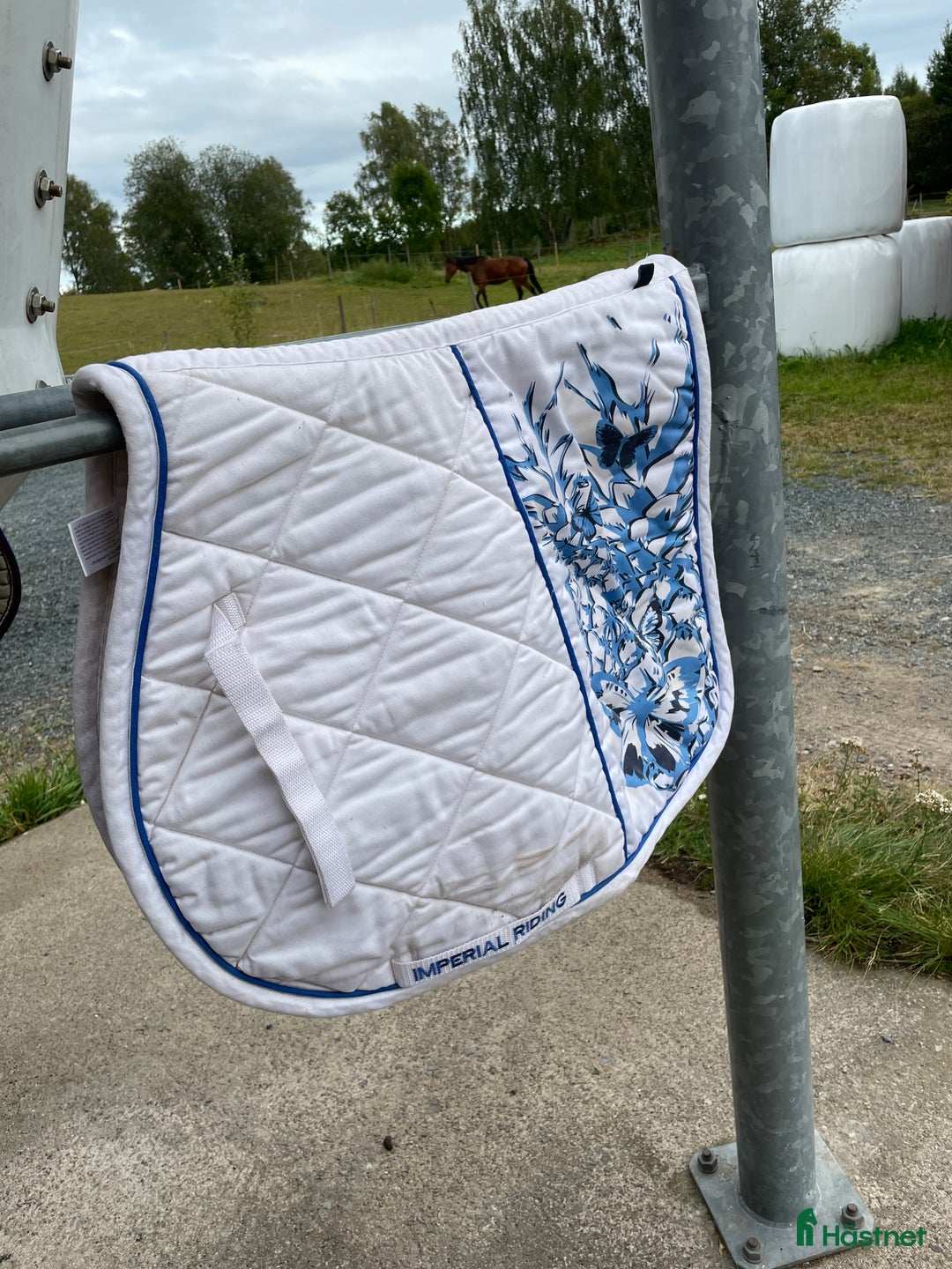 Schabrak & Vojlockar hästutrustning till salu: ❕hästutrustning❕ i Björköby - Annons 5