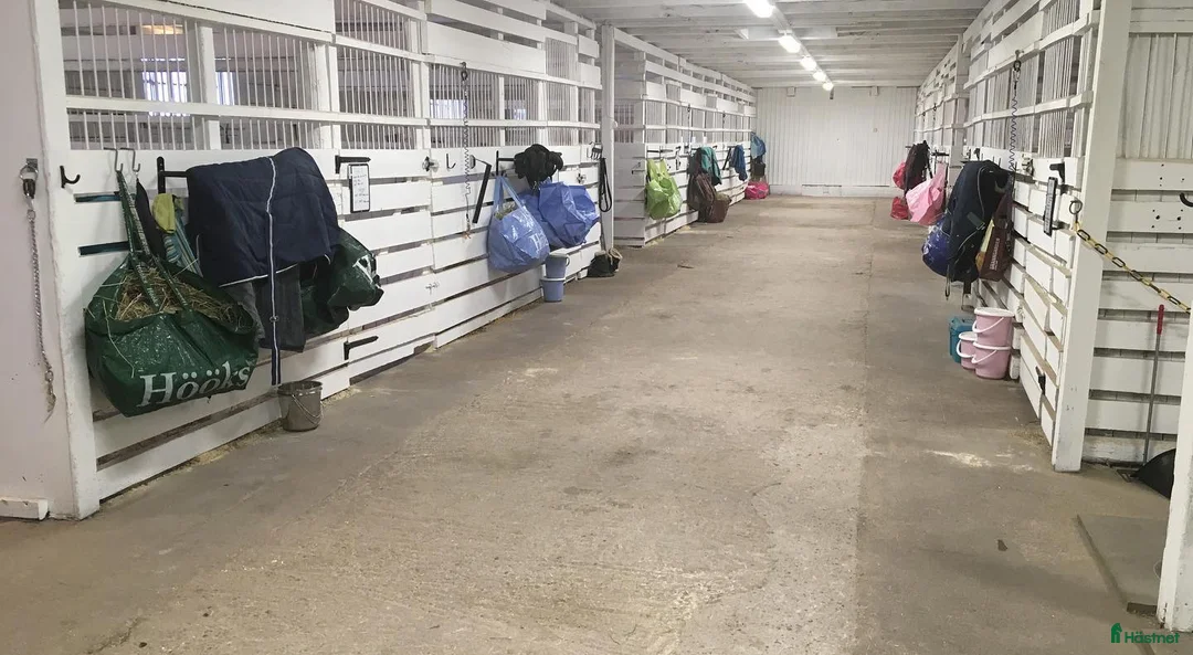  stallplats finnes: Stallplats för inackordering, Norrköping-Åby - Annons 2