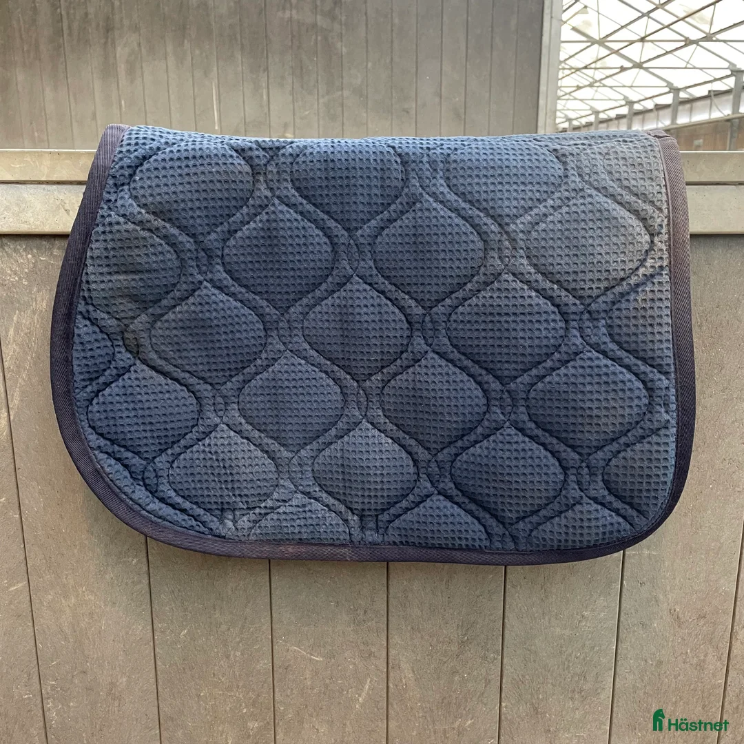 Schabrak & Vojlockar hästutrustning till salu: Mycket fint Equipeschabrak  - Annons 4