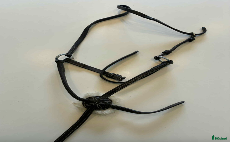 Träns hästutrustning till salu i Söderköping - Annons 17